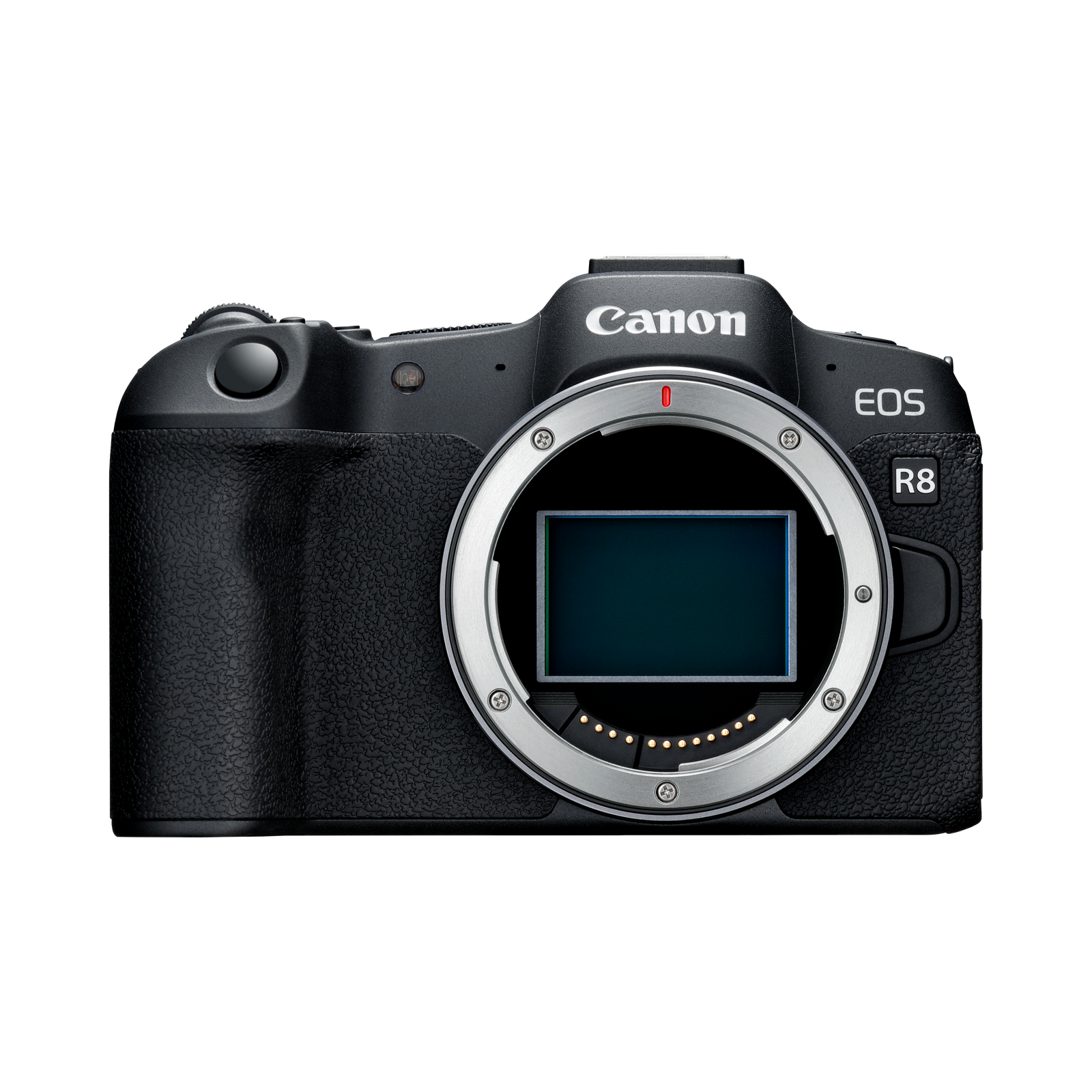 Câmera Canon EOS R8 24.2MP com Lente RF 24-50mm IS STM - foto 1